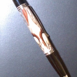Pheasant feather