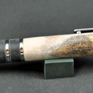 Guardian in Antler
