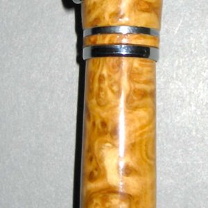 Concinna Burl Jr. Gent I