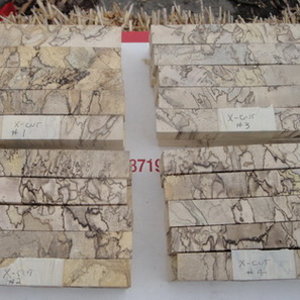 Hackberry Blanks 1