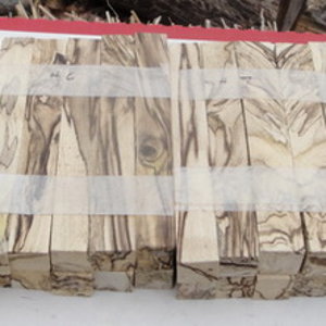 Hackberry 4