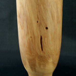 Spalted Pecan Vase