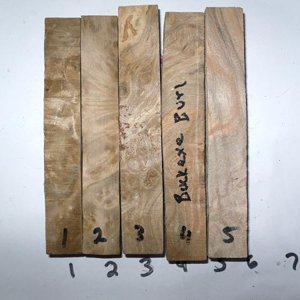 LOT 10