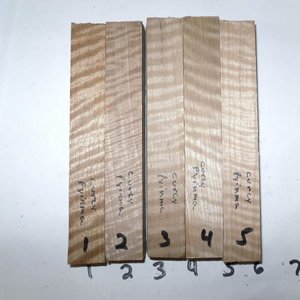 LOT 12