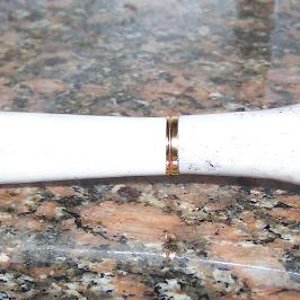 Shed whitetail antler Panache