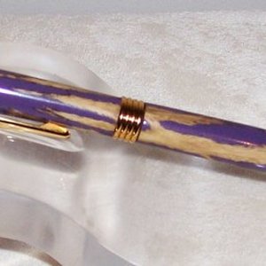 staghorn Cholla cactus pen