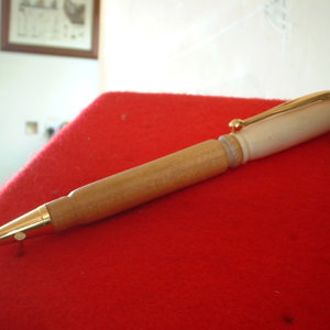 308 cartridge slimline pen