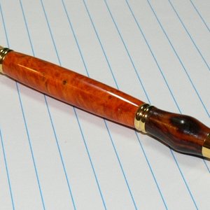 Teacher pen