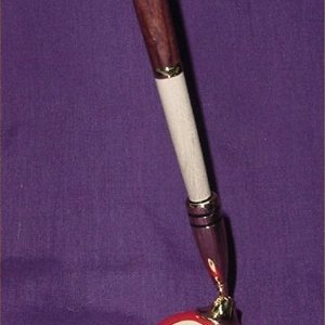 Pool Cue Pen