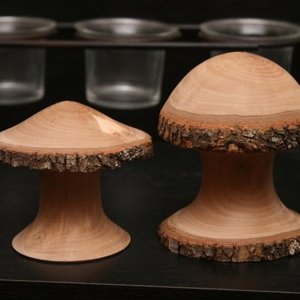 Pear wood mushrooms