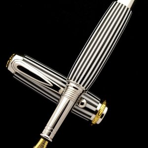 Zebra Jr. Statesman