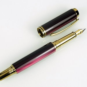 Pen 100 Jr. Gent II FP in Gold TI and Madreperlato Burgundy