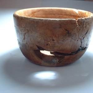 Maple Burl