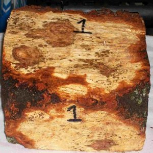 cherry burl