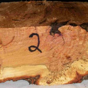 cherry burl