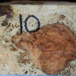 cherry burl