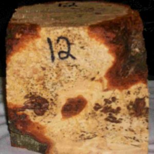 cherry burl