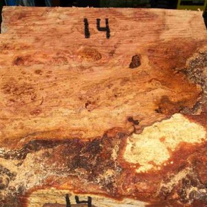 cherry burl