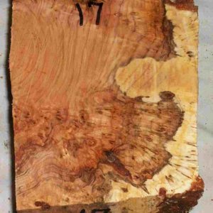 cherry burl