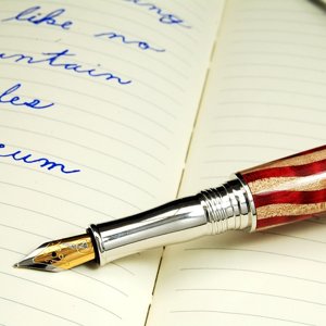 Pen 200 View 5