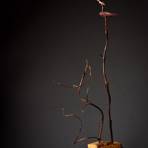 Wooden Birds - Something New We're Trying