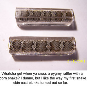 First snake skin castings