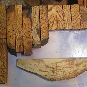 Hickory burl lot