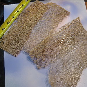 Prickly pear cactus skeletons