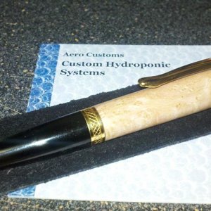 Satinwood Burl Sierra