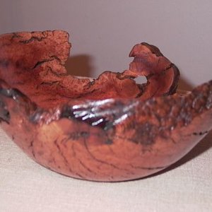Natural edge Manzanita root burl bowl