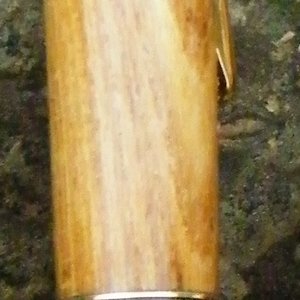 Laburnum 02