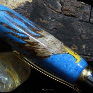 Close-up of Bald Eagle Inlay