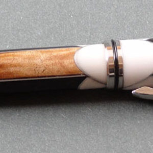 Scalloped Jr. Gent #1