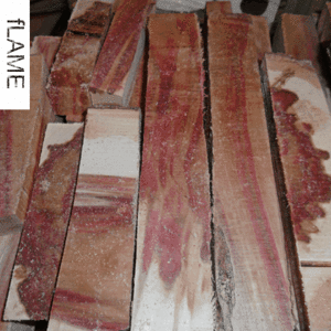 Flame Box elder