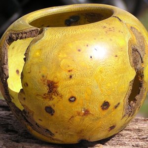 Same little Agarita bowl dif.side