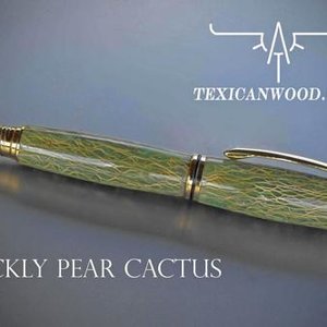 Green prickly pear Cactus