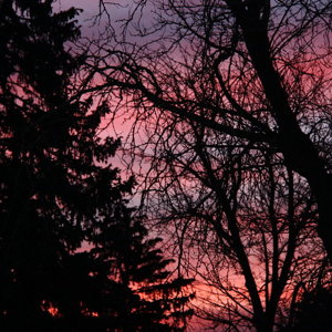 Colorado Morning 2