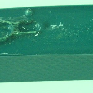 Green gator