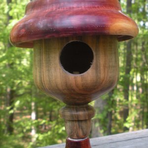 Bird House