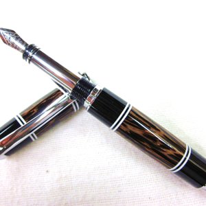 Segmented Junior Gent