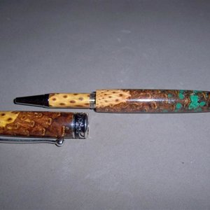 1st Place winner in this years Modified Pen