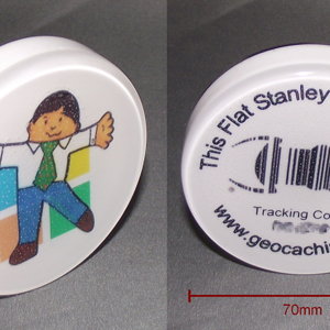 Coin Flat Stanley