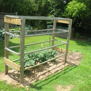 tomato cage