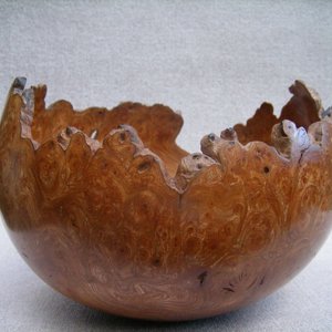 Natural edge burr Elm bowl