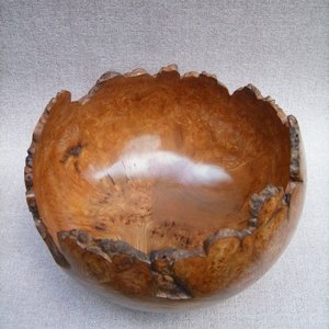 Natural edge burr Elm bowl