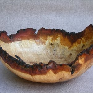 Natural edge burr Oak bowl