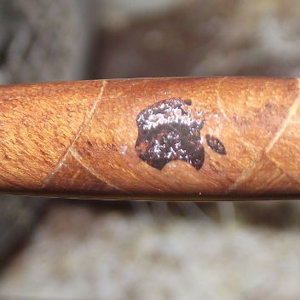Herringbone Stylus