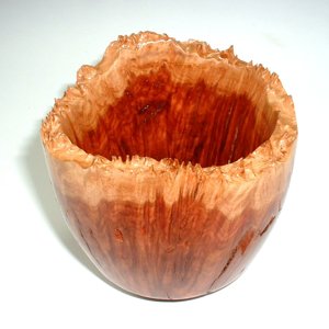 Red Mallee