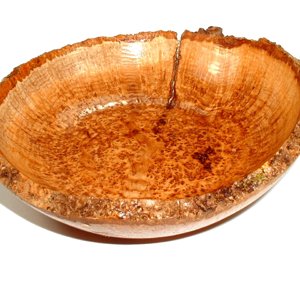 Black Ash Burl