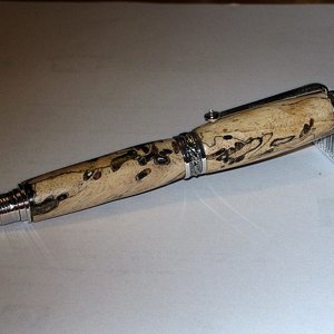 Spalted Maple Majestic Jr